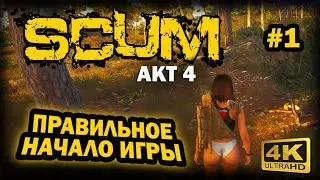 SCUM ➤ 4К. АКТ 4. Глава 1: ПРАВИЛЬНОЕ НАЧАЛО ИГРЫ | СКАМ 2024 | КАК ИГРАТЬ НОВИЧКУ.
