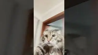 моя вселенная