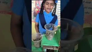 विज्ञान प्रदर्शन सहभाग - रा जि प शाळा सोनखार ता. पेण