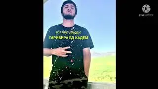 ТРЕК!!! RV PRO SHORA x Гарибира ёд кадем