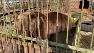 Открытие купального сезона Потапычем