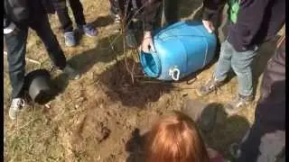 Waldpädagogik auf neuen Wegen