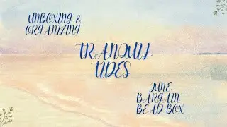 Tranquil Tides! Organizing June Bargain Bead Box!