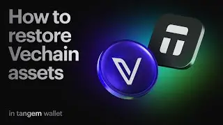How to restore $VET assets in Tangem Wallet