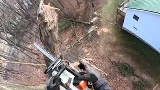 black oak rigging