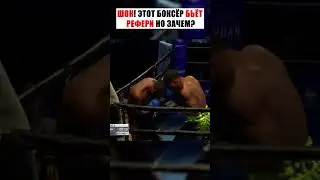 ШОК! ЭТОТ БОКСЁР БЬЁТ РЕФЕРИ, НО ЗАЧЕМ? 