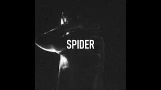 Metro Boomin Type Beat - "Spider" | Heroes & Villians Type Beat 2024