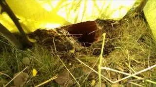 Zapadkowe pułapki na drobne zwierzęta w dolinie Łęgu
