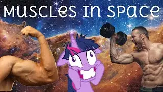 Muscles In Space