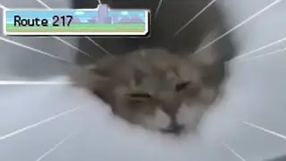me trying to get to snowpoint city