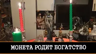 МОНЕТА РОДИТ БОГАТСТВО. ДЛЯ ВСЕХ | ИНГА ХОСРОЕВА | ВЕДЬМИНА ИЗБА