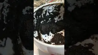 Ленин. Владимир Ильич Ульянов.