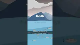 Inspirational Story - The Japanese Fresh Fish