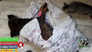 Отмыли от опарышей