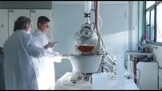 AS Turning waste into nutrition: how the olive oil industry could repurpose their wastewater