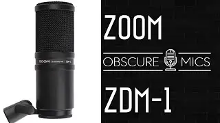 Zoom ZDM-1 | Dynamic Broadcast Microphone | Test / Review with Beyerdynamic M99 Opening