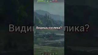 Видишь суслика? А он есть! #shorts #short #миртанков #танки #анекдот #юмор
