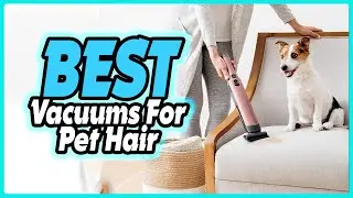 🔶Top 5: Best Vacuums for Pet Hair In 2025 🏆 [ Amazon Budget Vacuum For Pet Hair ]