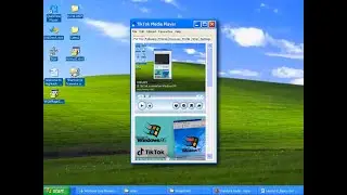 How Would TikTok Look on Windows XP?