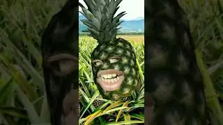 Rawrange Series - Why is this even a song?