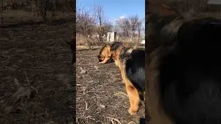 И погуляли и поработали☺️ 