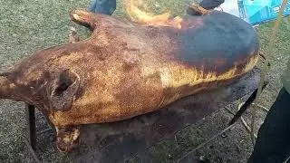 Как режут и разделывают свиней в деревне/ Деревенские будни