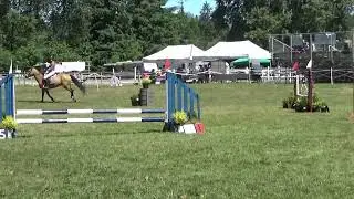 Brooklyn and Better Than Chocolate, two 1st places in .70 Jumper Grass, CVPC Show June 2023