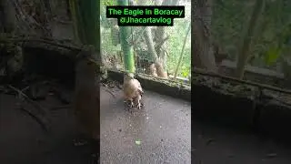 Mt.Luho the Eagle Boracay@JhacartaVlog
