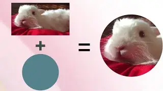 How to Mask in Alight Motion
