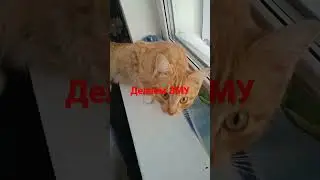 Начинаем делать зимний учëт.