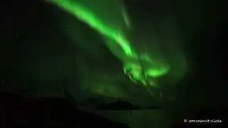 Aurora Real Time @ Norway (Senja)