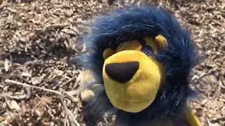 The Lion King: Plush Edition part 7a