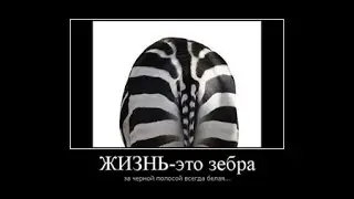 Укрощение зебры жизни, или технология Как стать счастливым