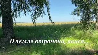 О земле втрачена, явися...  Василь Стус #українськівірші #українськийконтент
