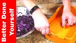 Seaweed and Red Cabbage Fermented in a Korean Compression Box