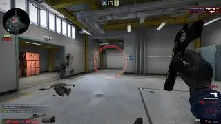nice zeus