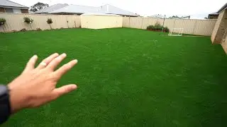 One Month After Seeding My Lawn // Lawn Renovation Results