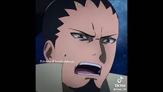 Untitled video