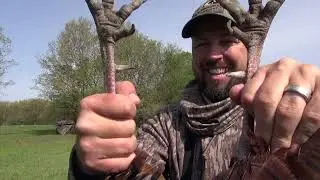 FIRED UP mid-morning gobbler in Missouri