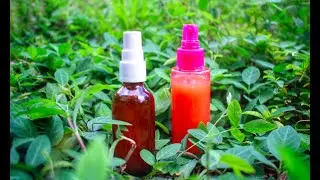 Natural Bug Spray That Works!  Non-Toxic, Deet Free DIY