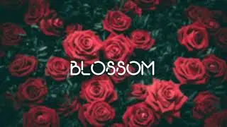 (Free) Post Malone And Swae Lee Type Beat - Blossom | Guitar Type Beat 2019