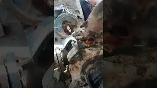 Жаны ноокат Жаш участкасында насостин кайра туздо
