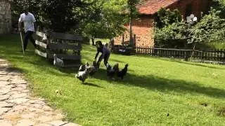 Saboreando Asturias en familia y con niños