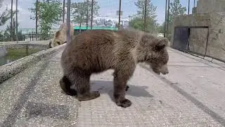 Парк Тайган 