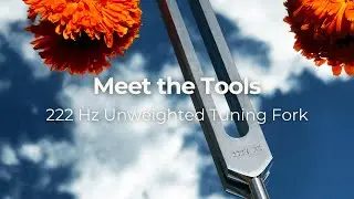 Introducing The New 222 Hz Unweighted Tuning Fork