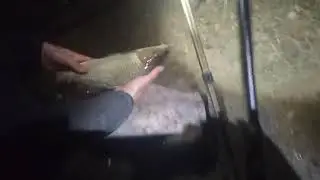 лывковые ямы , рыбалка в Запорожье 2021