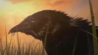 Warcraft III Cinematic-Intro