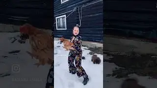 Новогодние яйца