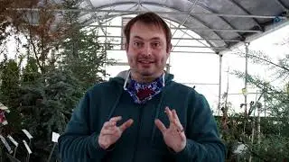 Tips for Pruning Deciduous Shrubs