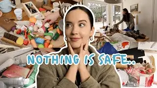 Decluttering + Organizing My ENTIRE House | Declutter Motivation